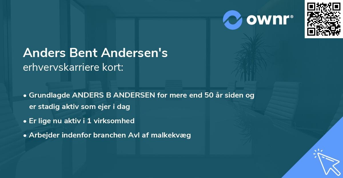 Anders Bent Andersen's erhvervskarriere kort
