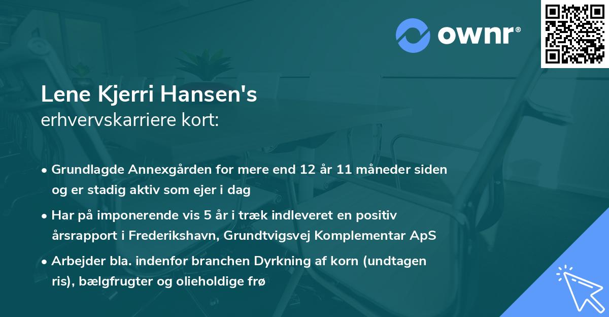 Lene Kjerri Hansen's erhvervskarriere kort
