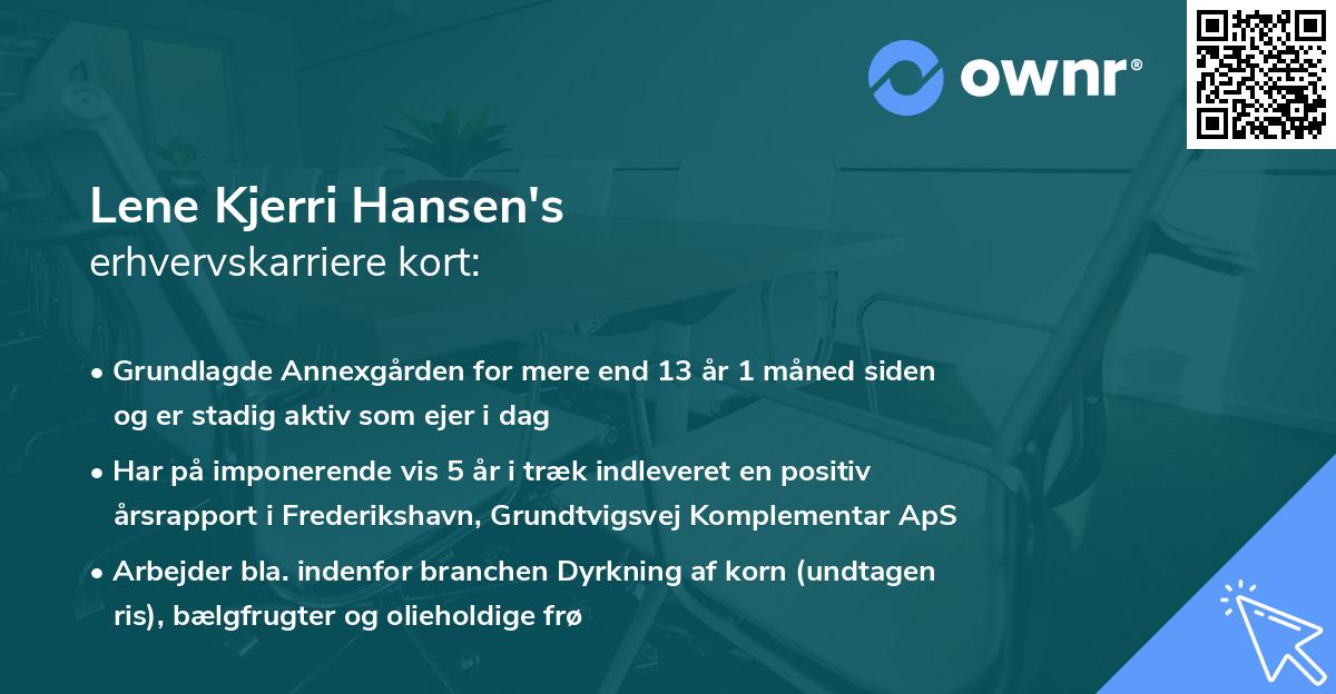 Lene Kjerri Hansen's erhvervskarriere kort