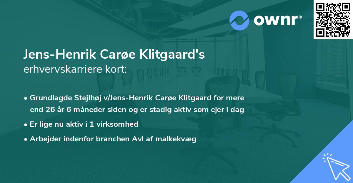 Jens-Henrik Carøe Klitgaard's erhvervskarriere kort