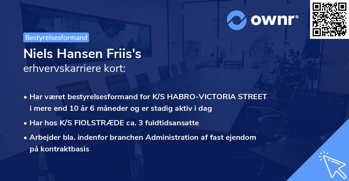 Niels Hansen Friis's erhvervskarriere kort