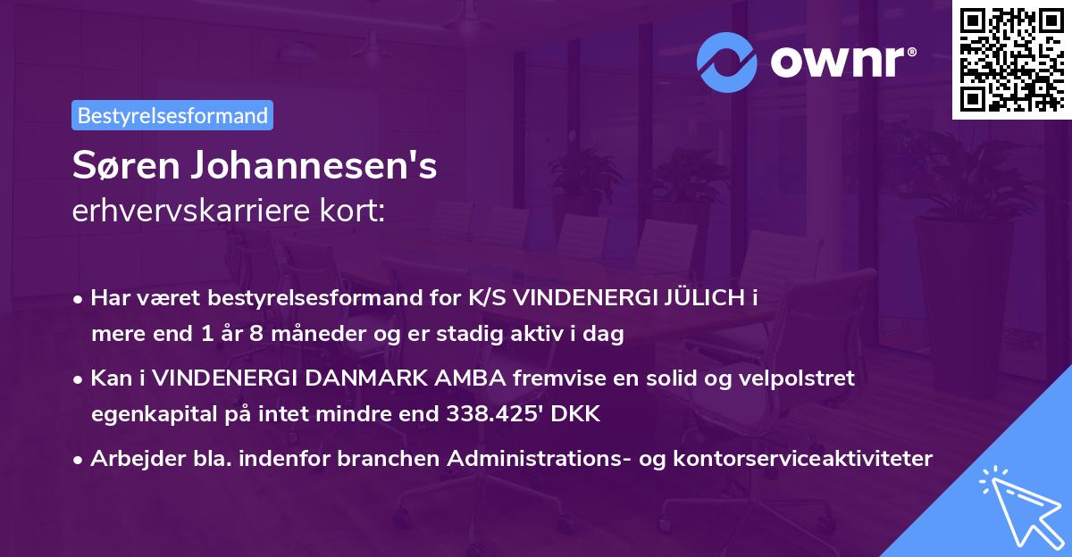 Søren Johannesen's erhvervskarriere kort