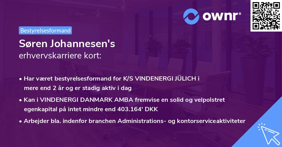 Søren Johannesen's erhvervskarriere kort