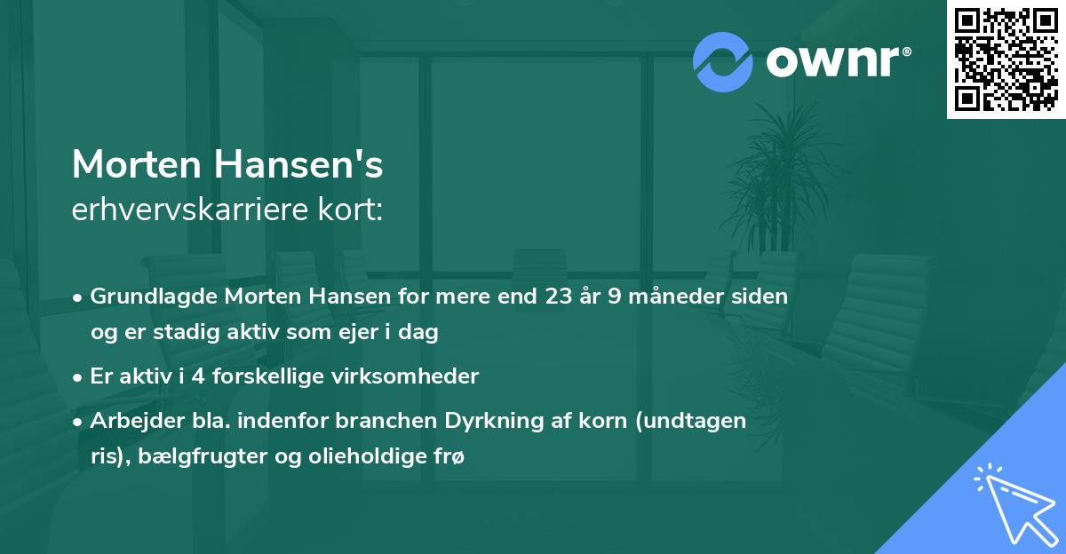 Morten Hansen's erhvervskarriere kort
