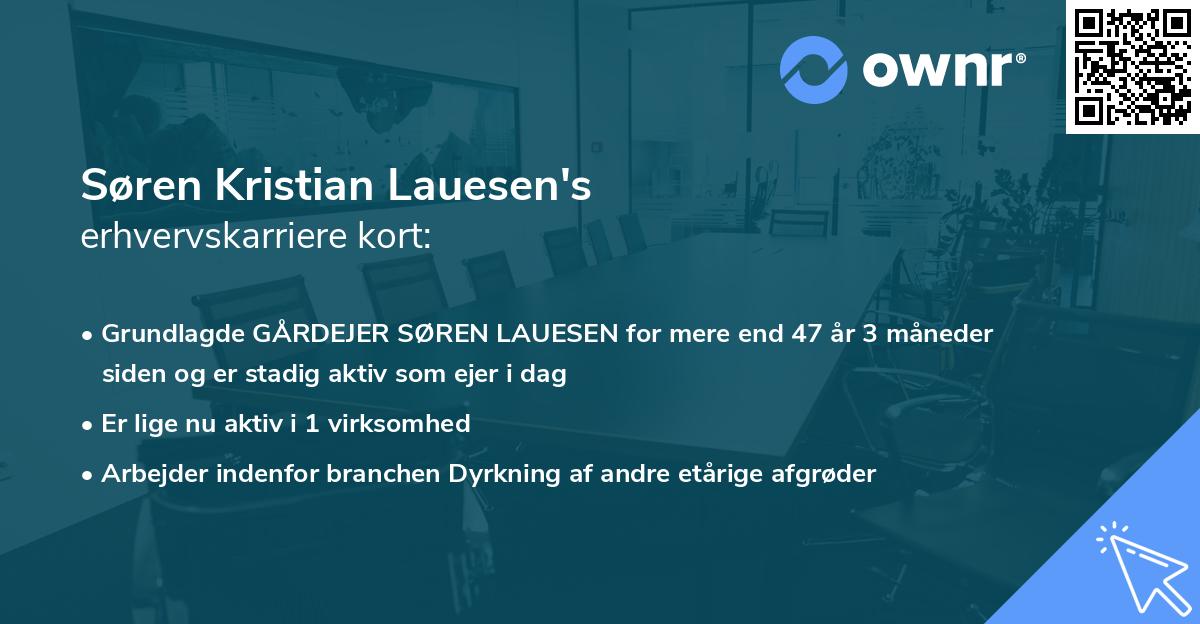 Søren Kristian Lauesen's erhvervskarriere kort