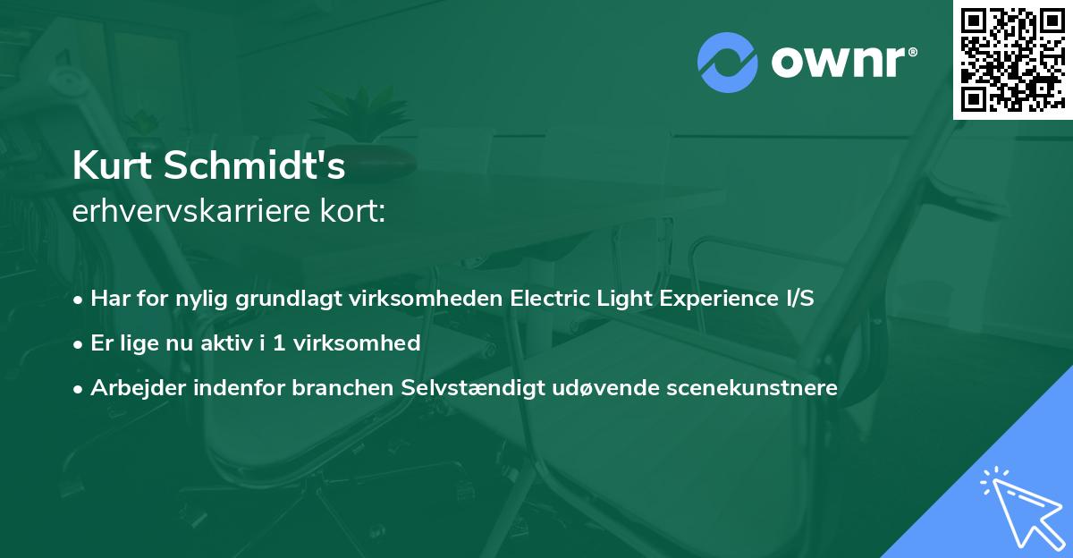 Kurt Schmidt's erhvervskarriere kort