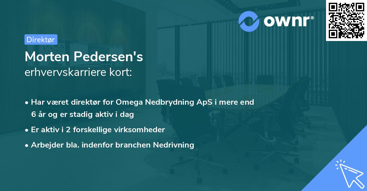 Morten Pedersen's erhvervskarriere kort