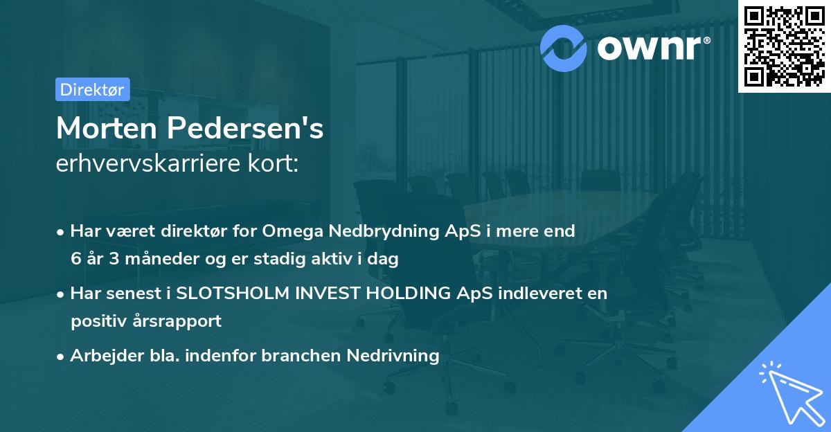 Morten Pedersen's erhvervskarriere kort