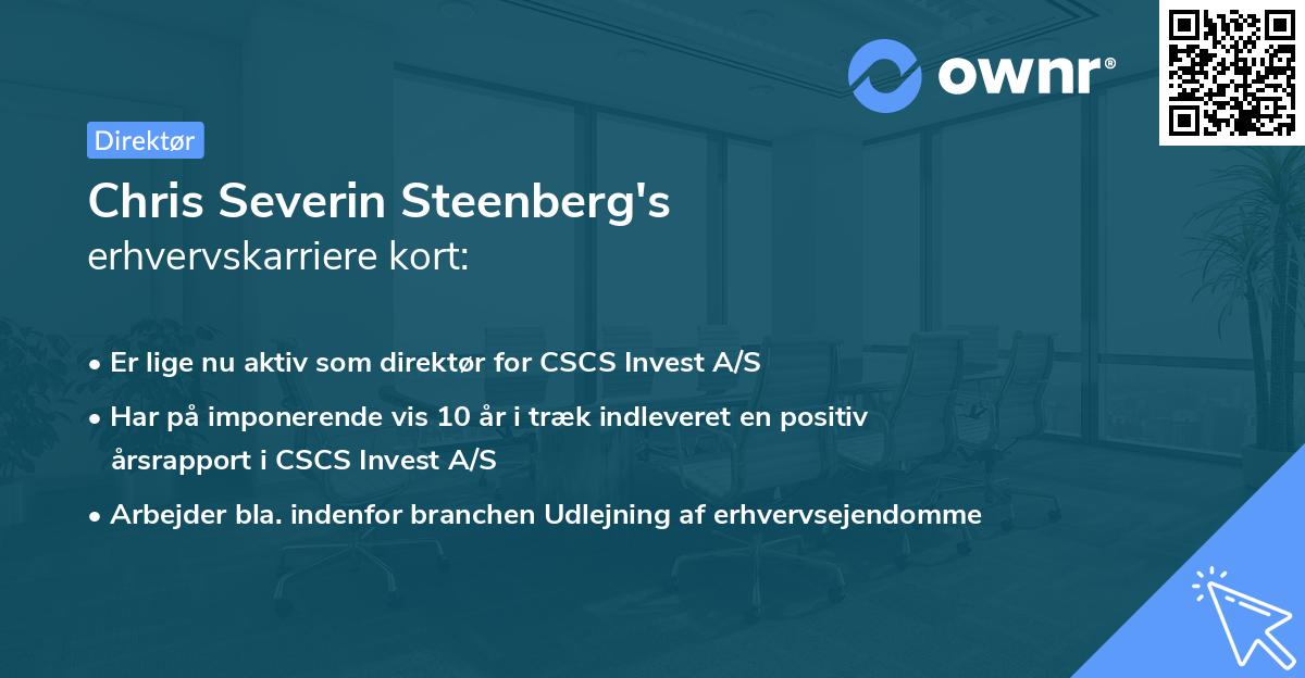 Chris Severin Steenberg's erhvervskarriere kort