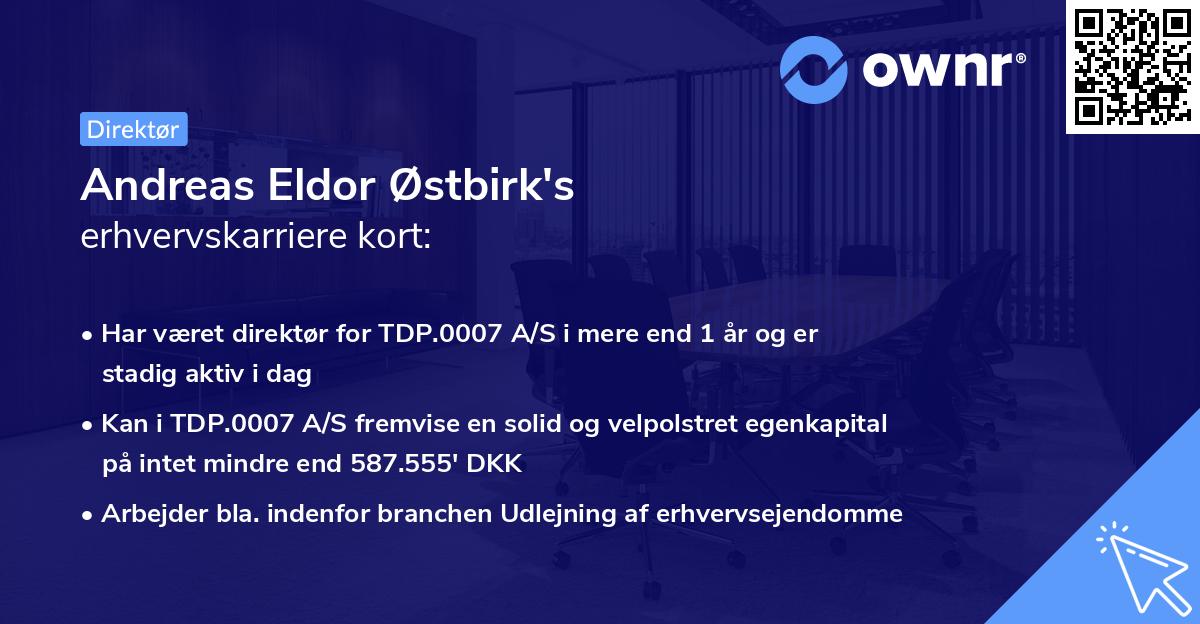 Andreas Eldor Østbirk's erhvervskarriere kort