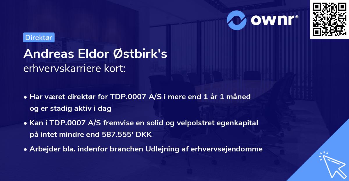 Andreas Eldor Østbirk's erhvervskarriere kort