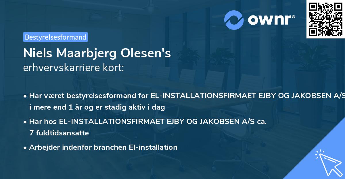 Niels Maarbjerg Olesen's erhvervskarriere kort