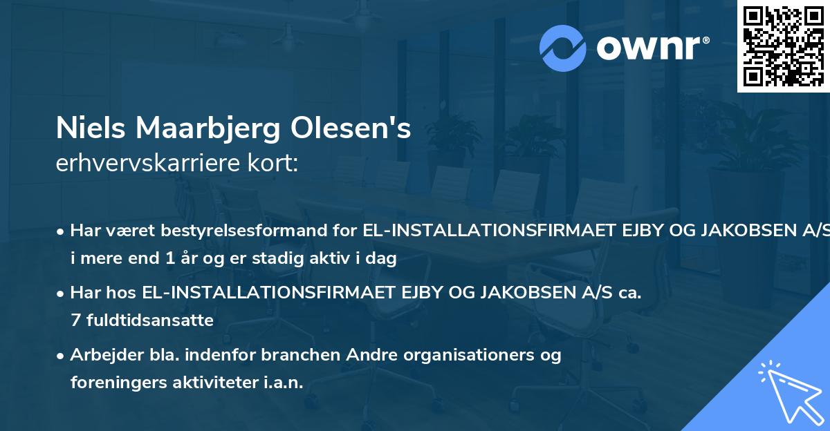 Niels Maarbjerg Olesen's erhvervskarriere kort