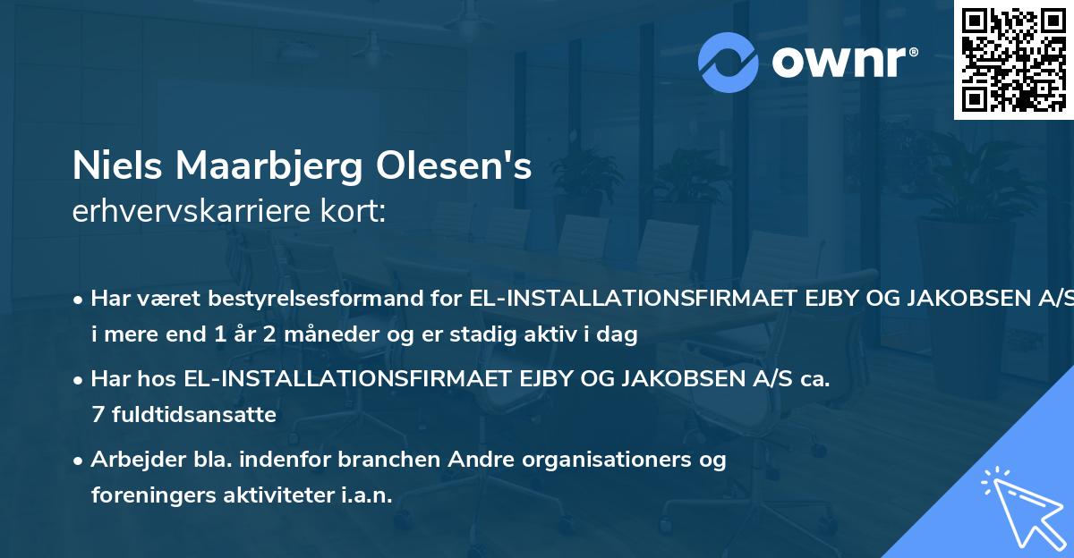 Niels Maarbjerg Olesen's erhvervskarriere kort