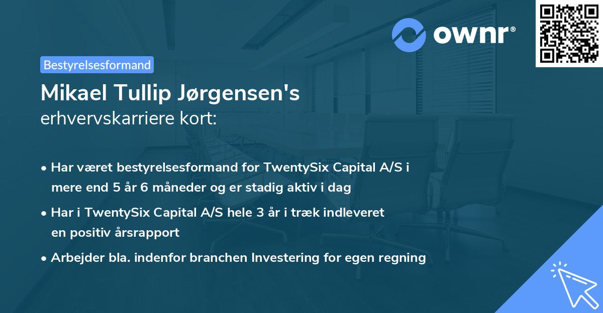 Mikael Tullip Jørgensen's erhvervskarriere kort