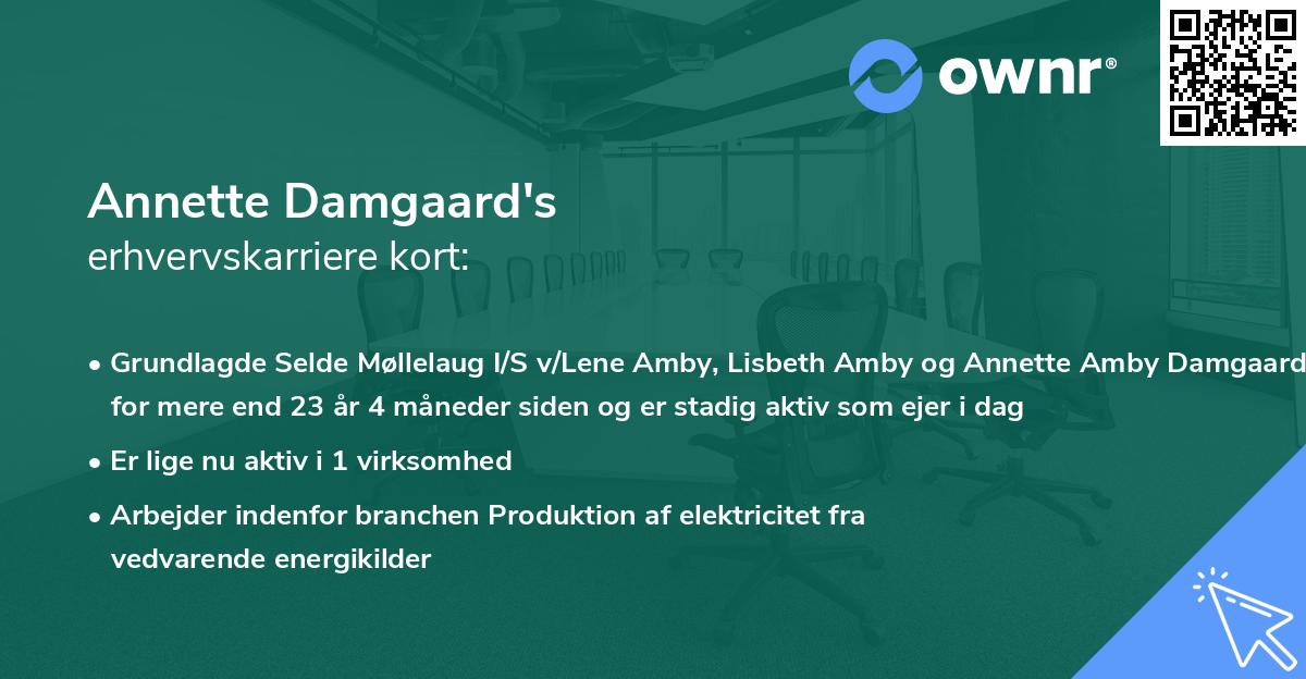 Annette Damgaard's erhvervskarriere kort