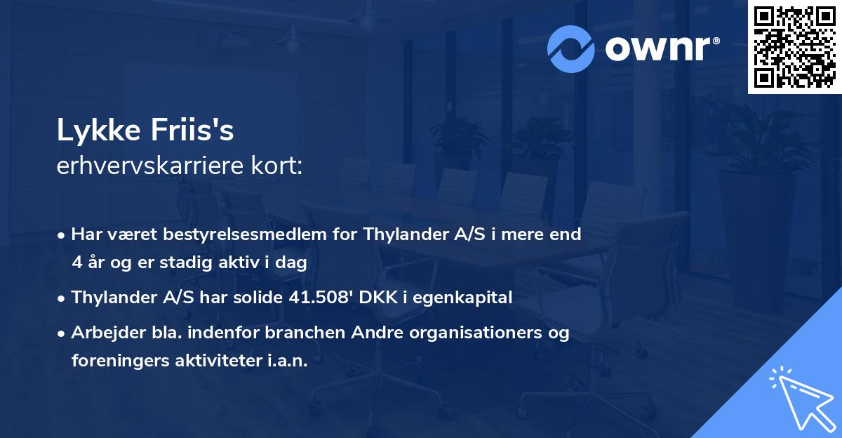 Lykke Friis's erhvervskarriere kort