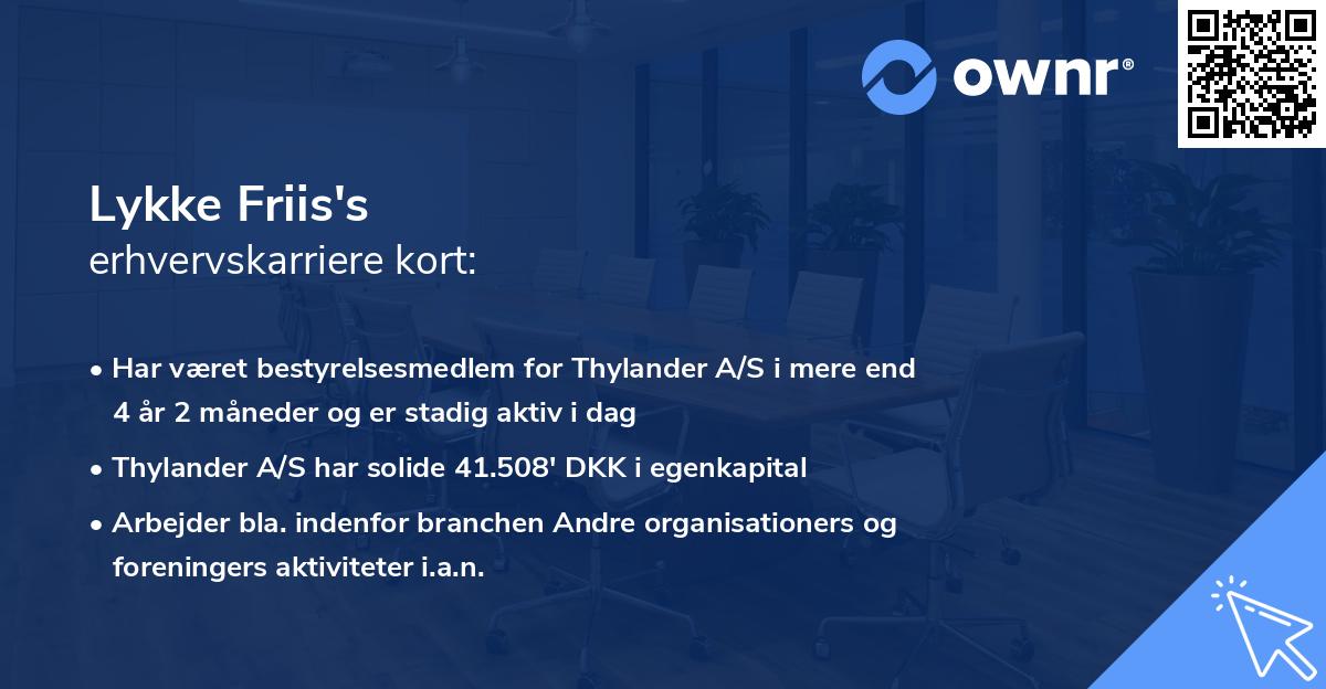 Lykke Friis's erhvervskarriere kort