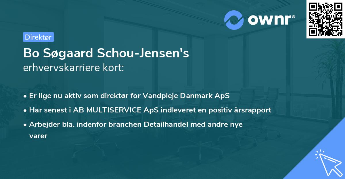 Bo Søgaard Schou-Jensen's erhvervskarriere kort