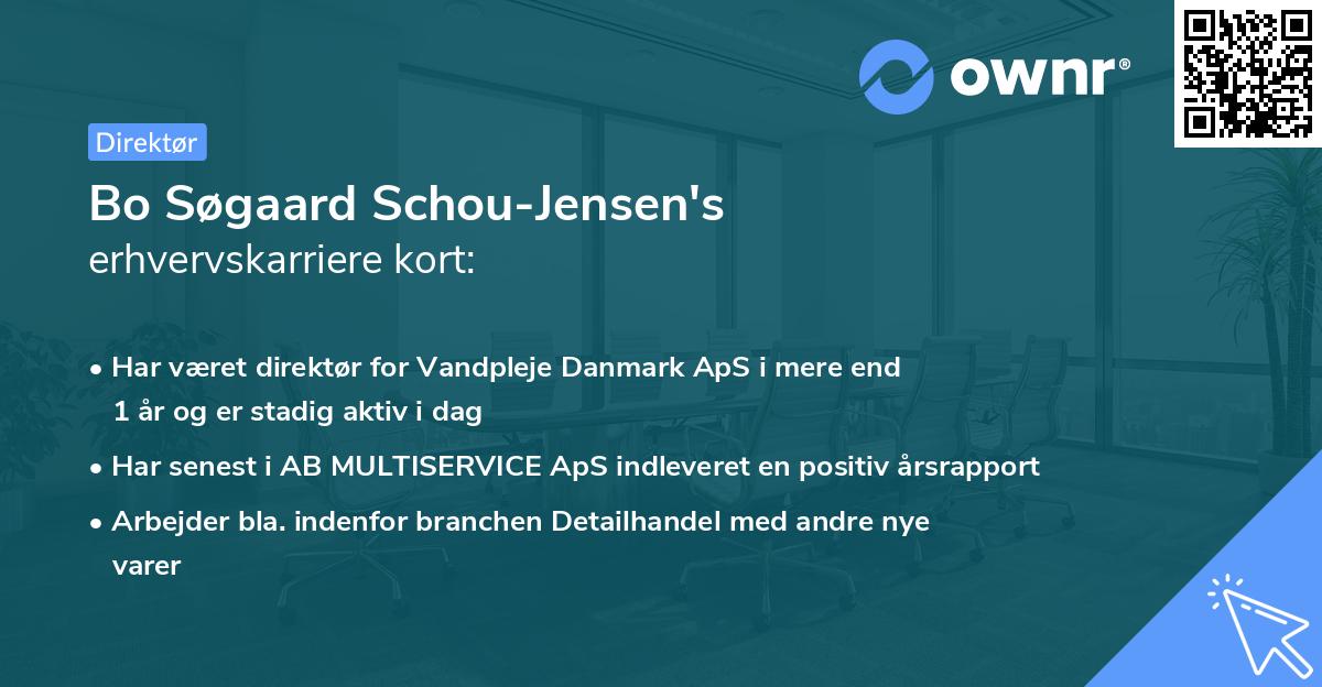 Bo Søgaard Schou-Jensen's erhvervskarriere kort