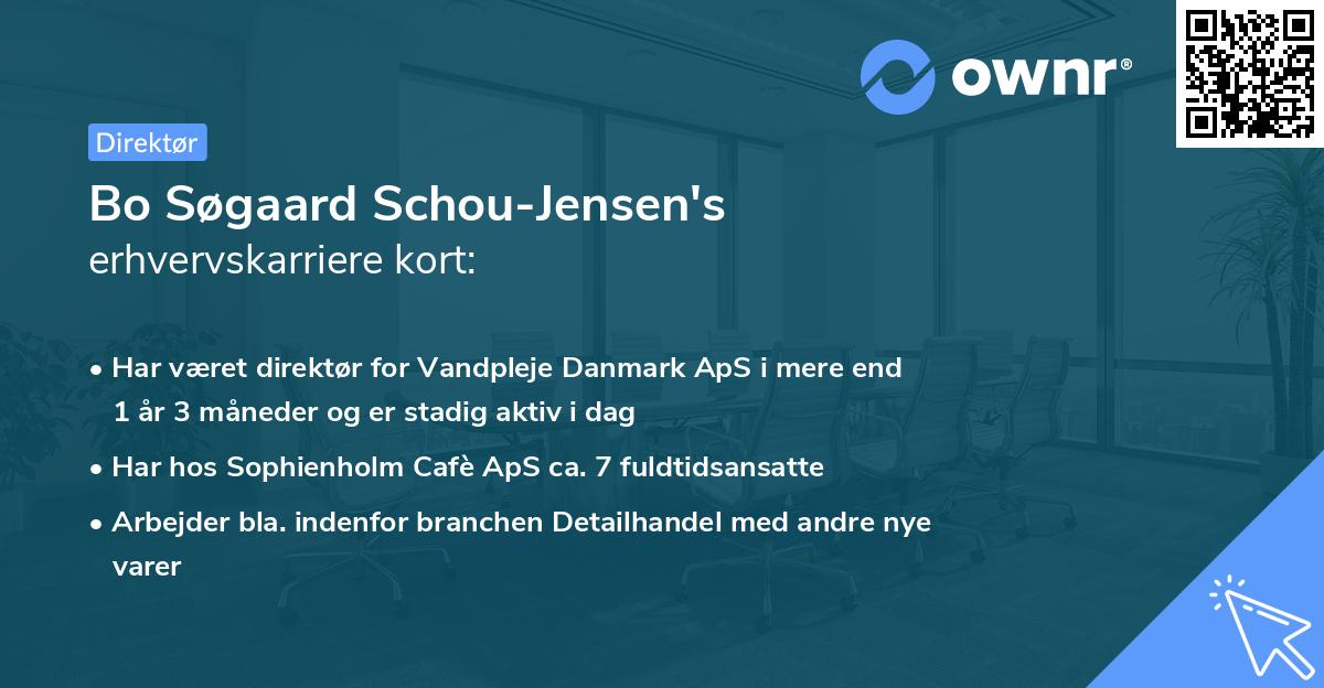 Bo Søgaard Schou-Jensen's erhvervskarriere kort