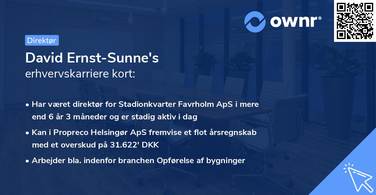 David Ernst-Sunne's erhvervskarriere kort