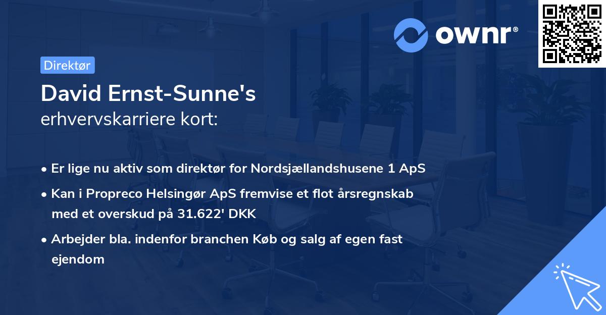 David Ernst-Sunne's erhvervskarriere kort