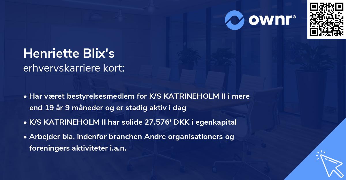 Henriette Blix's erhvervskarriere kort