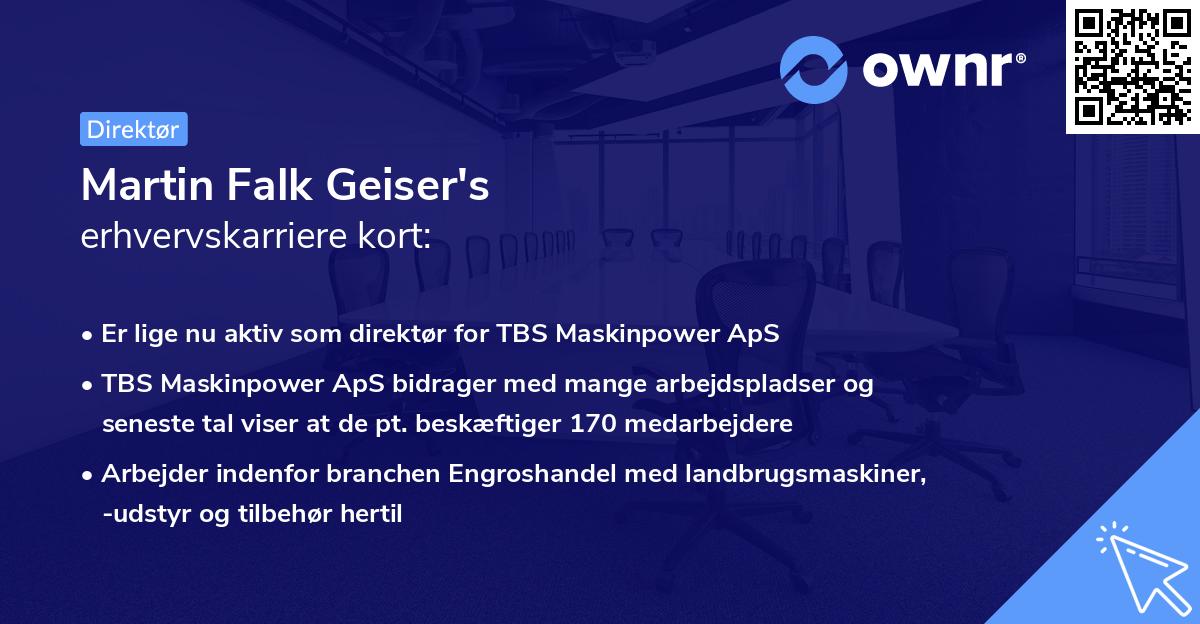 Martin Falk Geiser's erhvervskarriere kort