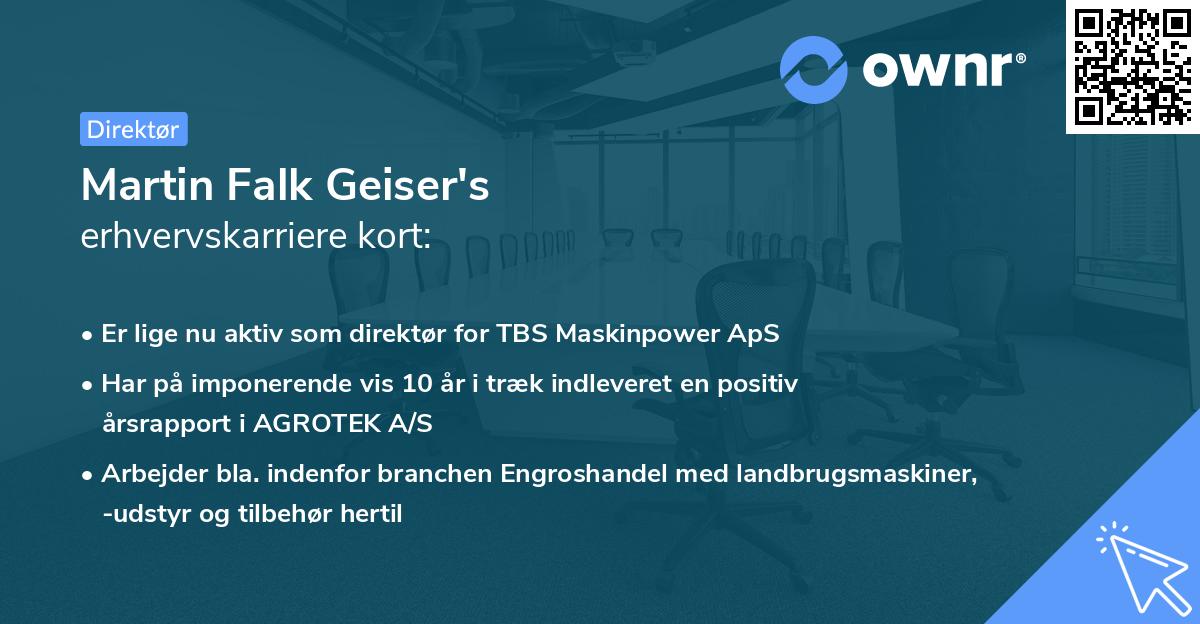 Martin Falk Geiser's erhvervskarriere kort