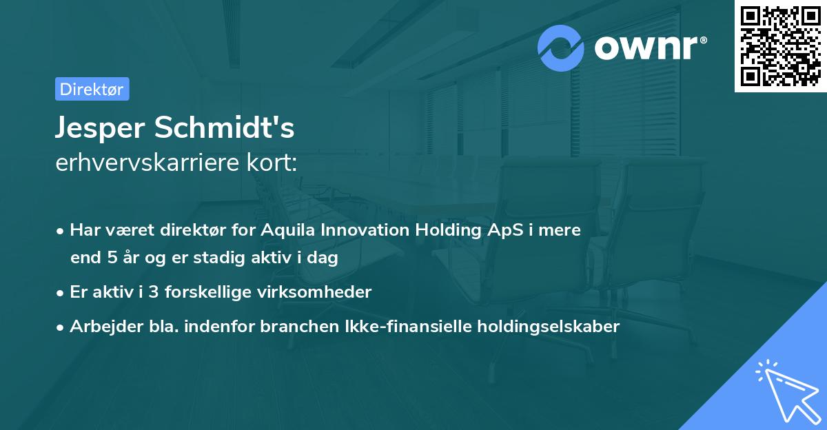 Jesper Schmidt's erhvervskarriere kort