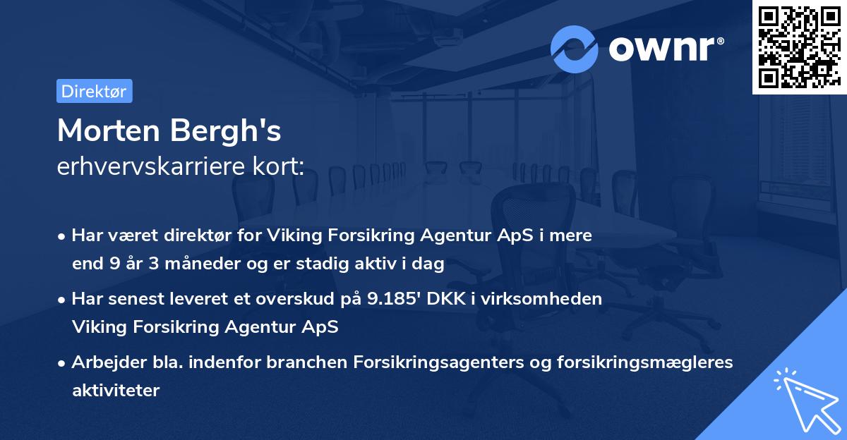 Morten Bergh's erhvervskarriere kort