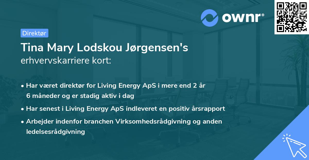 Tina Mary Lodskou Jørgensen's erhvervskarriere kort