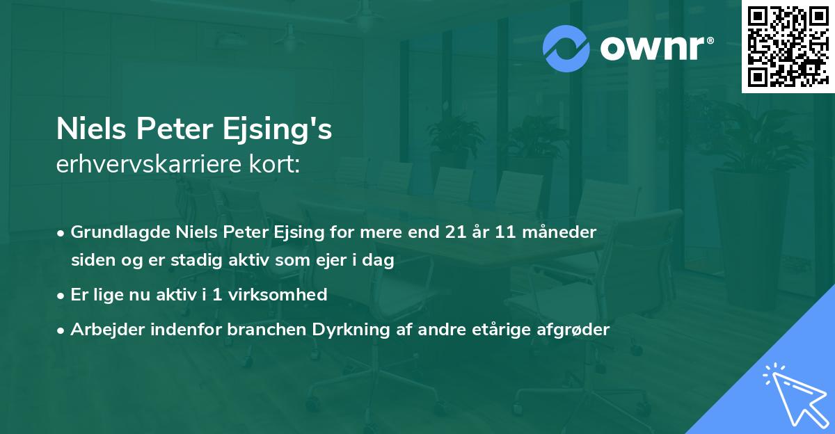 Niels Peter Ejsing's erhvervskarriere kort