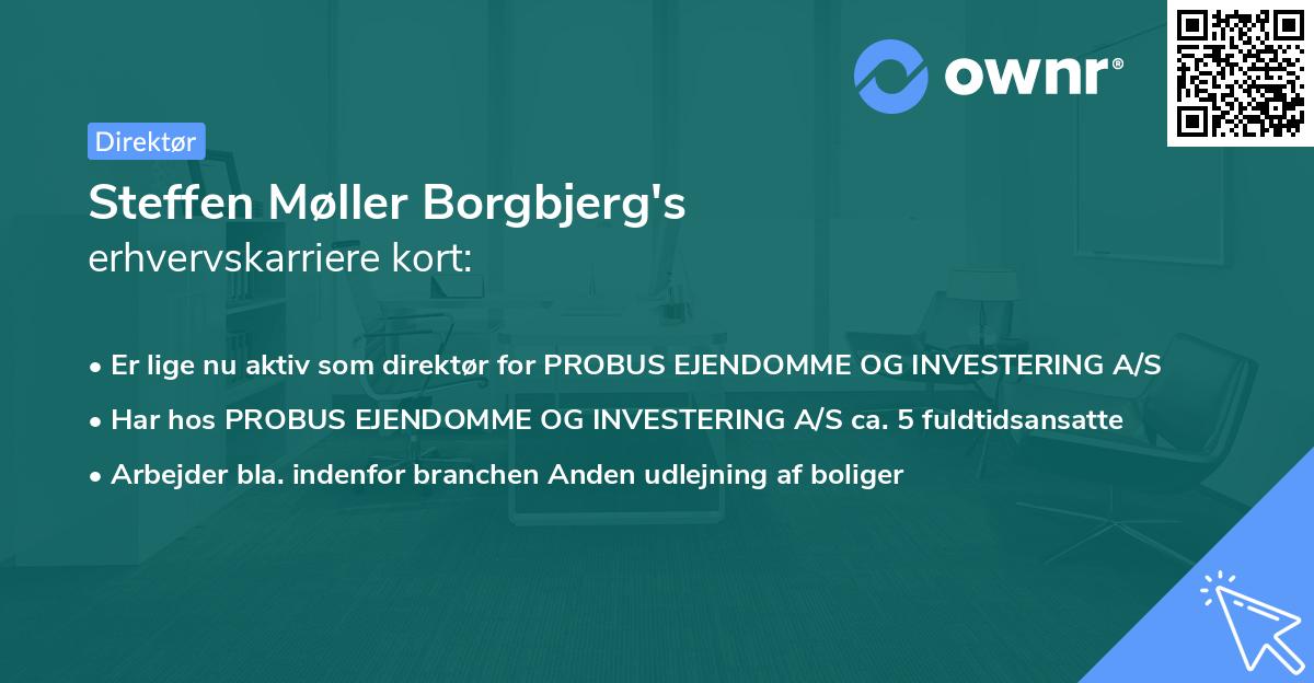 Steffen Møller Borgbjerg's erhvervskarriere kort