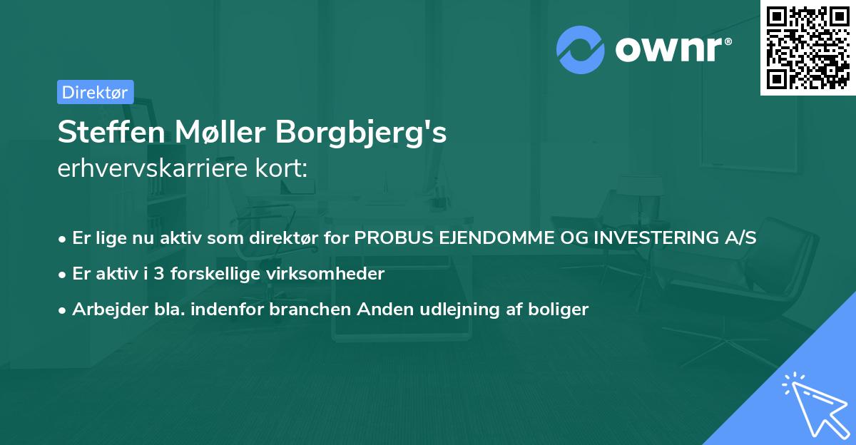 Steffen Møller Borgbjerg's erhvervskarriere kort