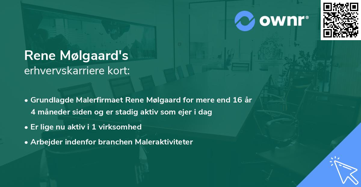Rene Mølgaard's erhvervskarriere kort
