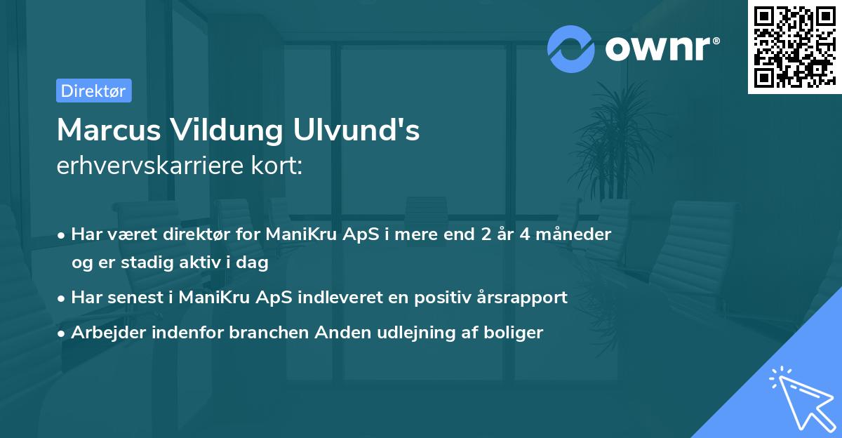 Marcus Vildung Ulvund's erhvervskarriere kort