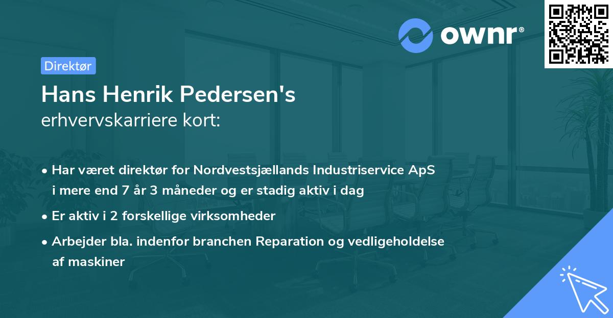 Hans Henrik Pedersen's erhvervskarriere kort