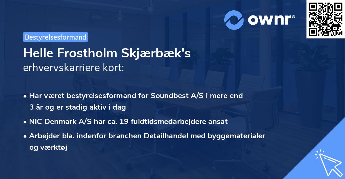 Helle Frostholm Skjærbæk's erhvervskarriere kort