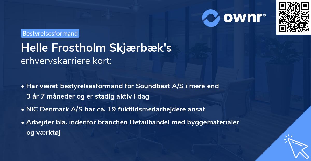 Helle Frostholm Skjærbæk's erhvervskarriere kort