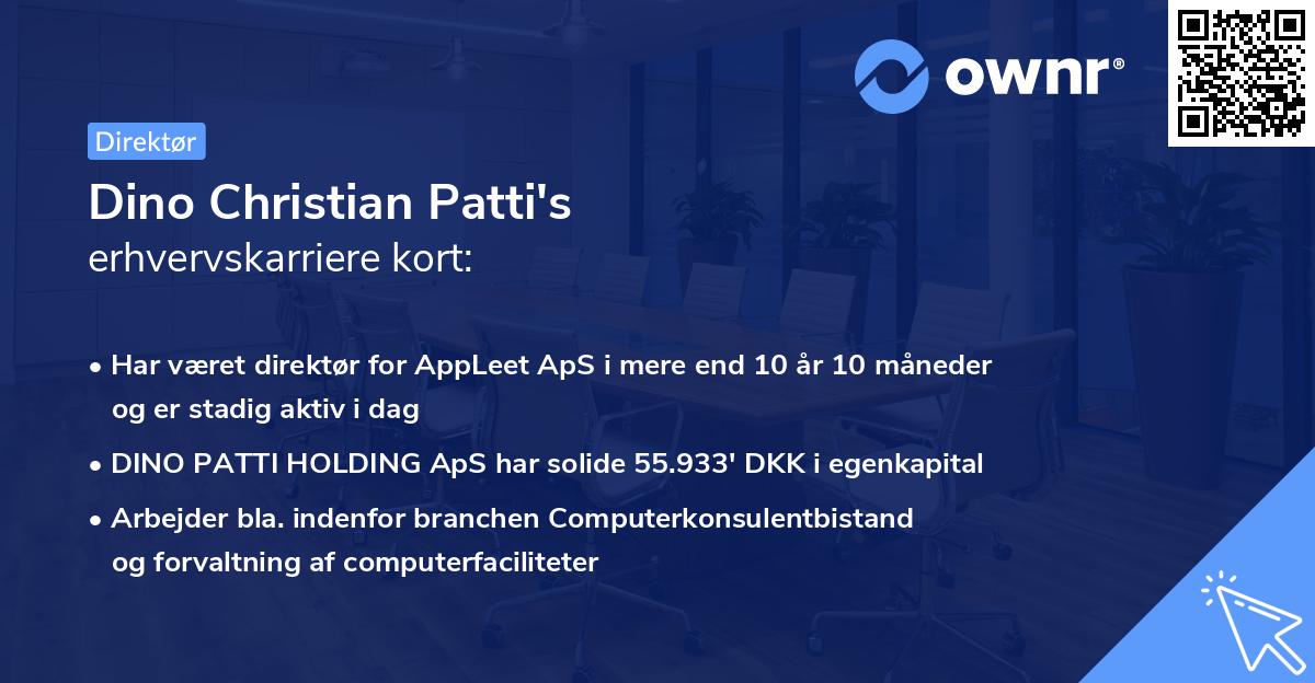 Dino Christian Patti's erhvervskarriere kort