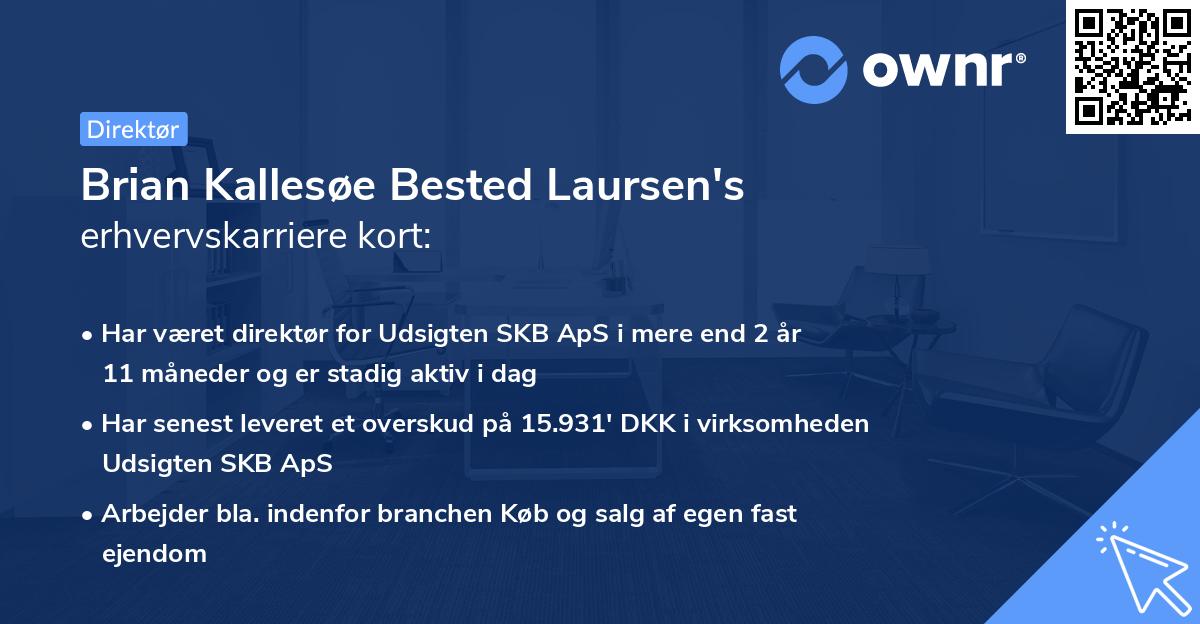 Brian Kallesøe Bested Laursen's erhvervskarriere kort