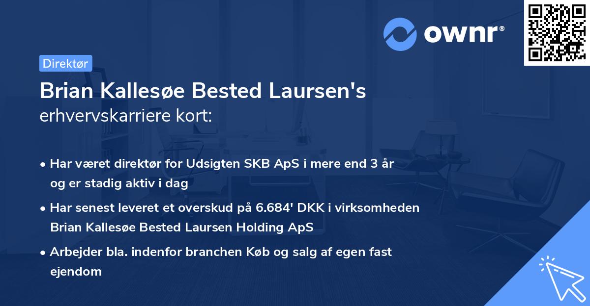 Brian Kallesøe Bested Laursen's erhvervskarriere kort