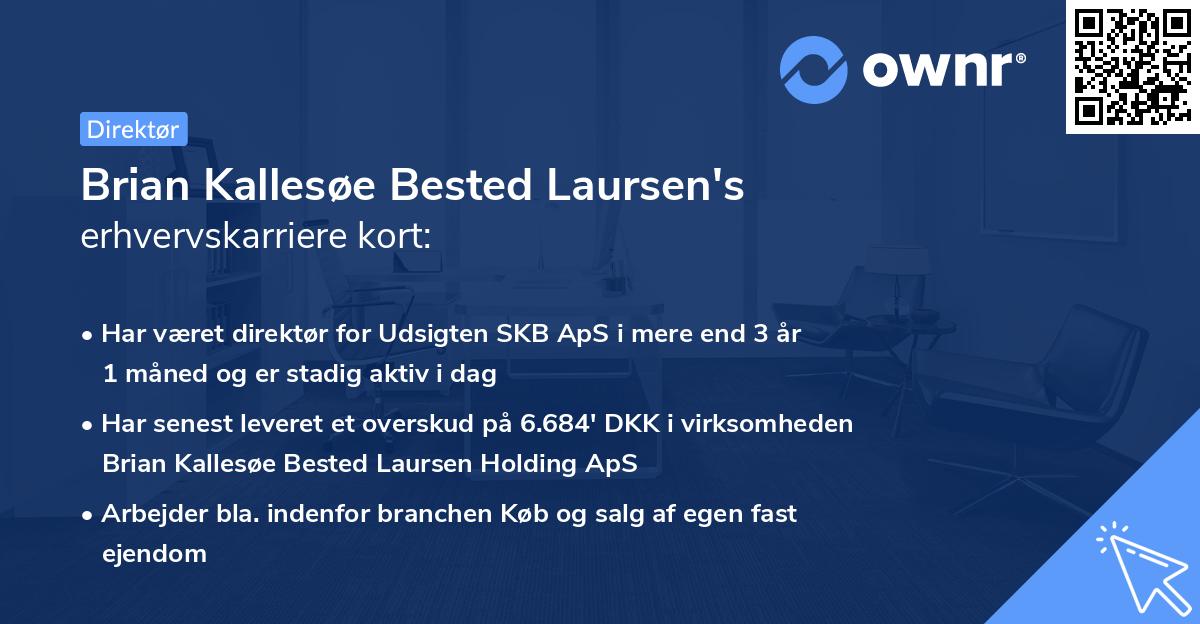 Brian Kallesøe Bested Laursen's erhvervskarriere kort