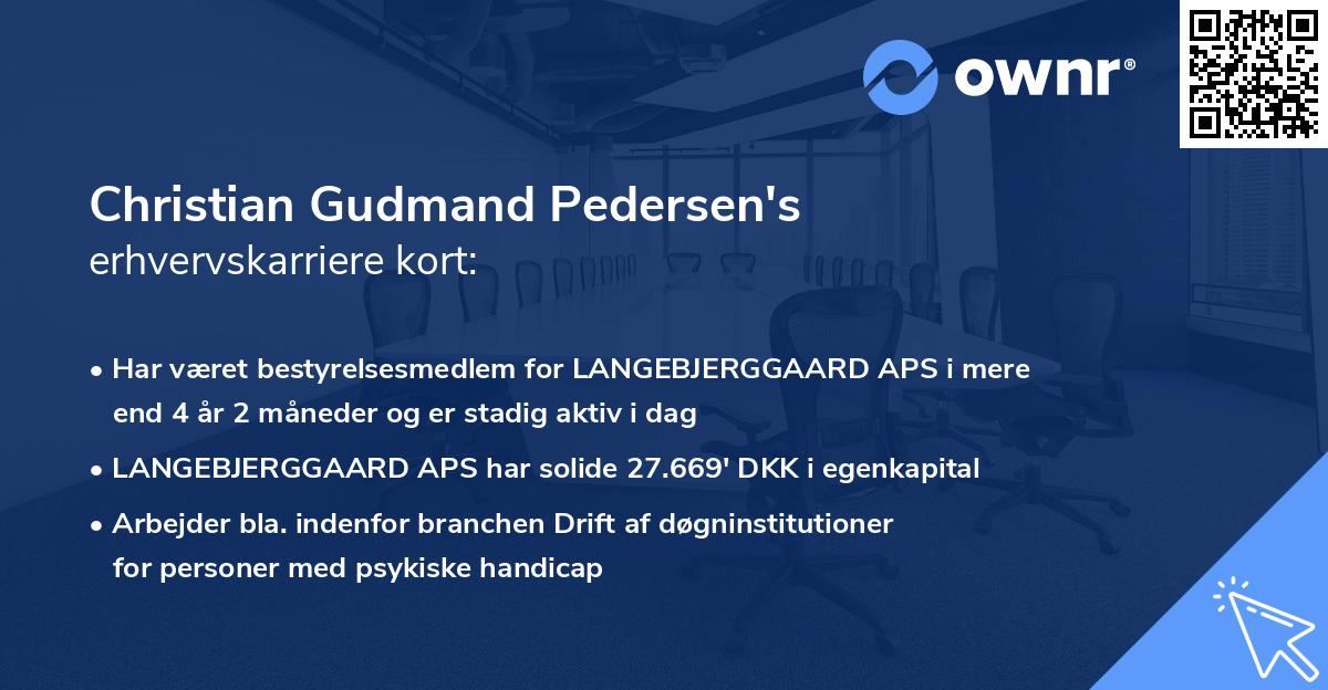 Christian Gudmand Pedersen's erhvervskarriere kort