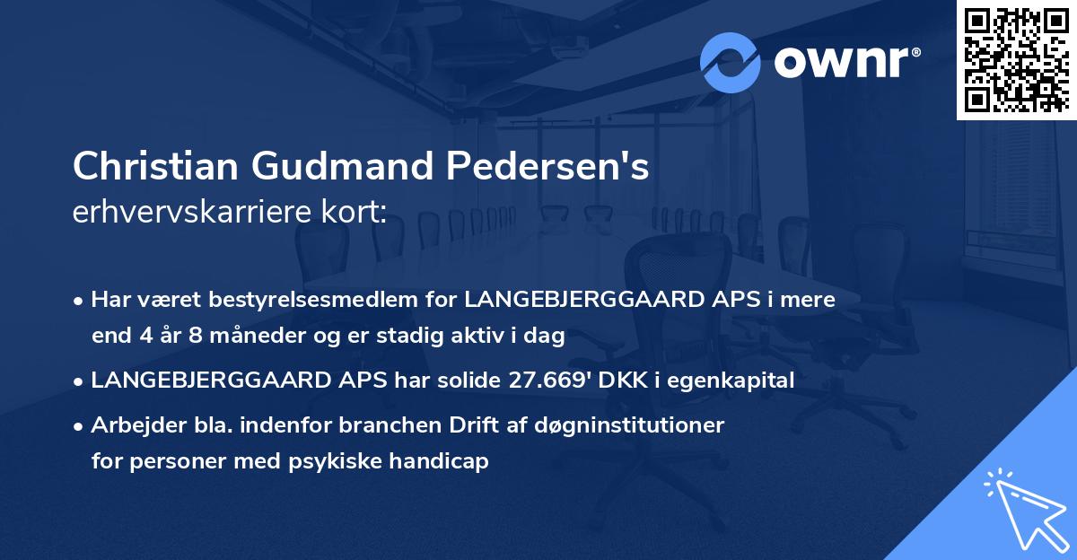 Christian Gudmand Pedersen's erhvervskarriere kort