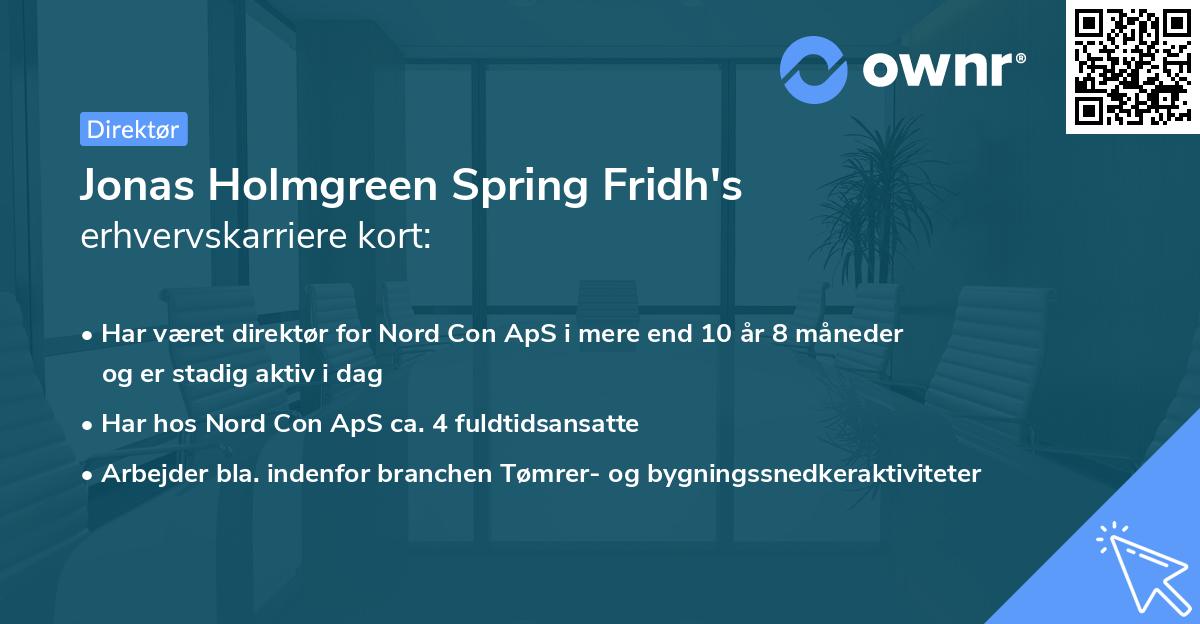 Jonas Holmgreen Spring Fridh's erhvervskarriere kort