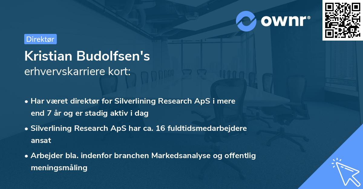 Kristian Budolfsen's erhvervskarriere kort