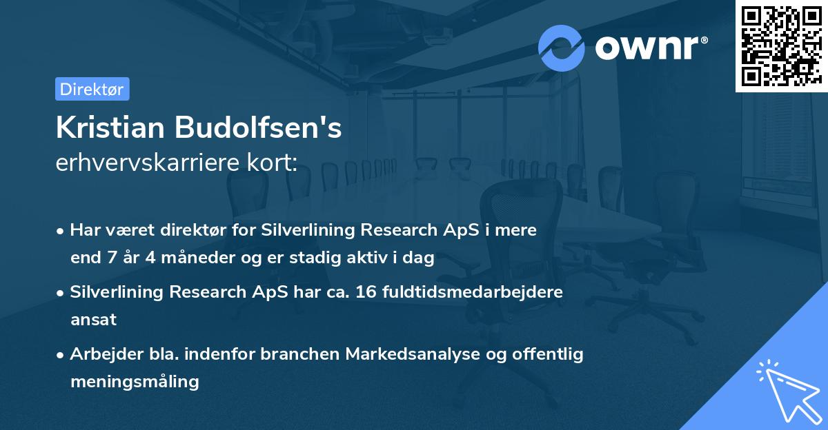 Kristian Budolfsen's erhvervskarriere kort
